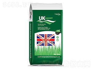 Ӣ(gu)UK-CardiffϷG1-Ϸ 
