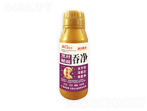 ڗUʸ̃-r